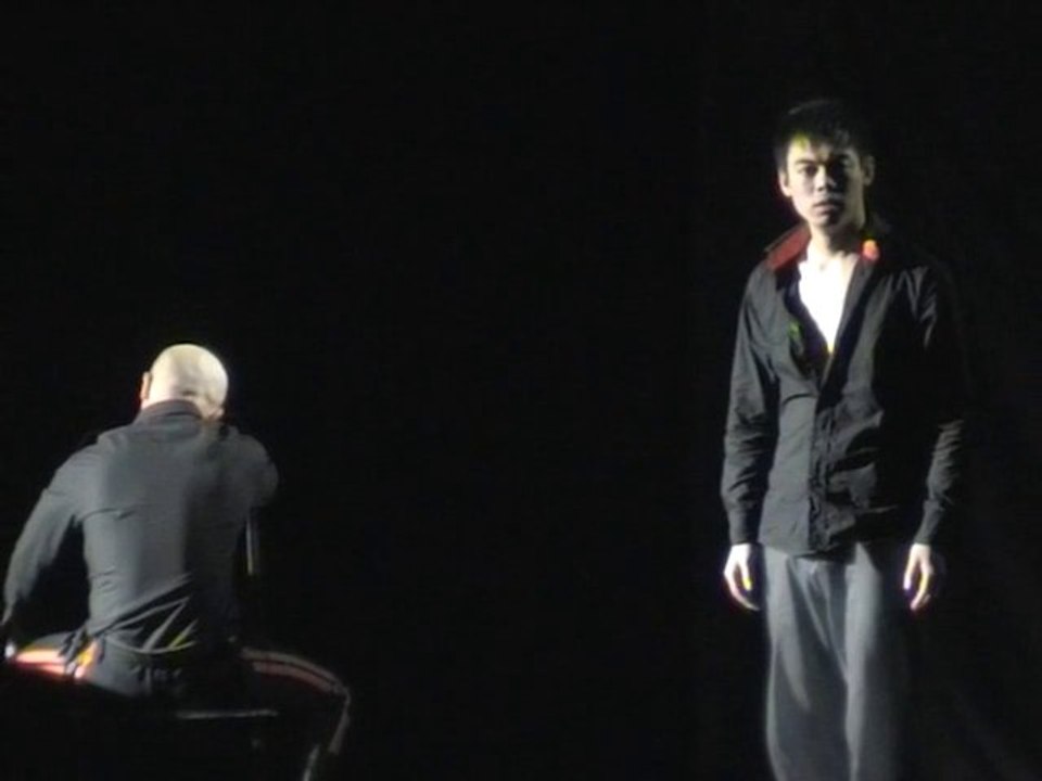 WANG Xiaobo "Palais de l'Est, Palais de l'Ouest"  王小波《东宫西宫》8