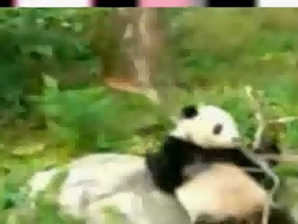 compilation chutes 3