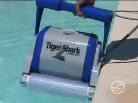 Le robot piscine tiger Shark