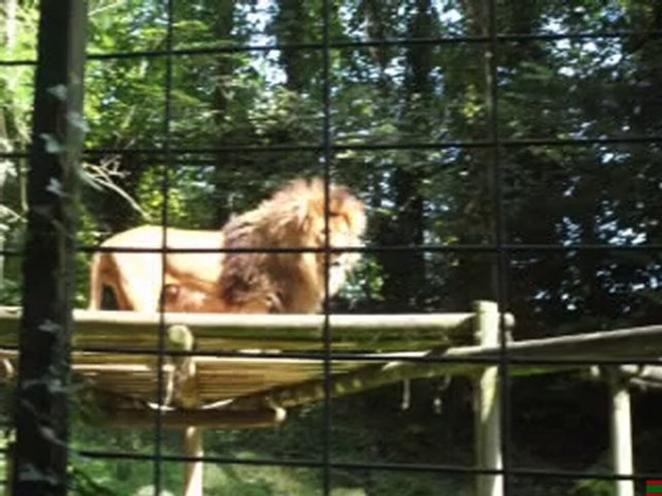 Découverte de beauvaL dans le loir-et-cher
