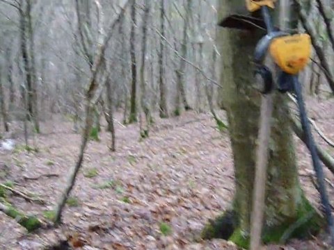 sortie 2 ardennes 020