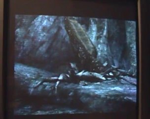 king kong (01):le premiers morts