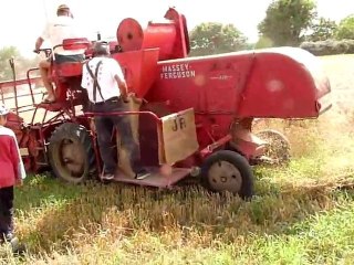 Massey Ferguson 830