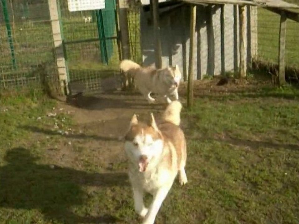 Cisco & Vesna