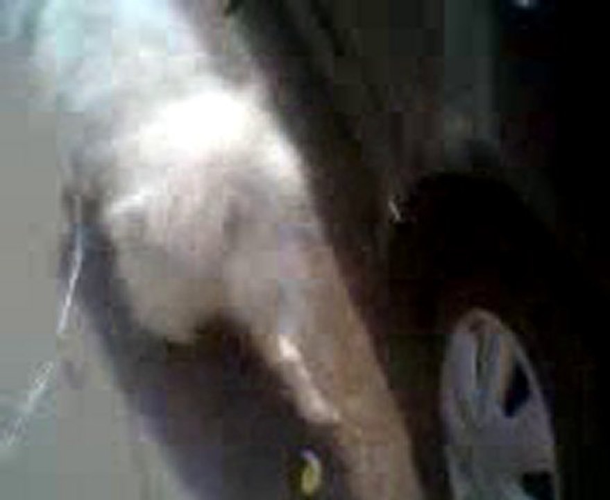 Video0025