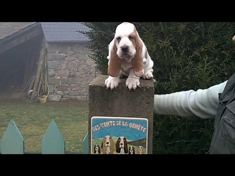 Fais pas ci fais pas ça a 2 mois