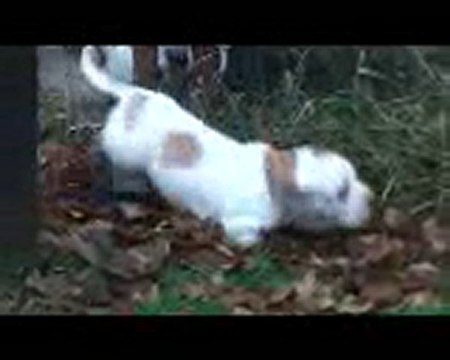 Fais pas ci Fais pas ça a 2 mois