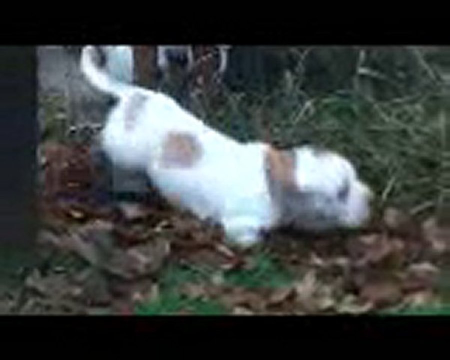 Fais pas ci Fais pas ça a 2 mois