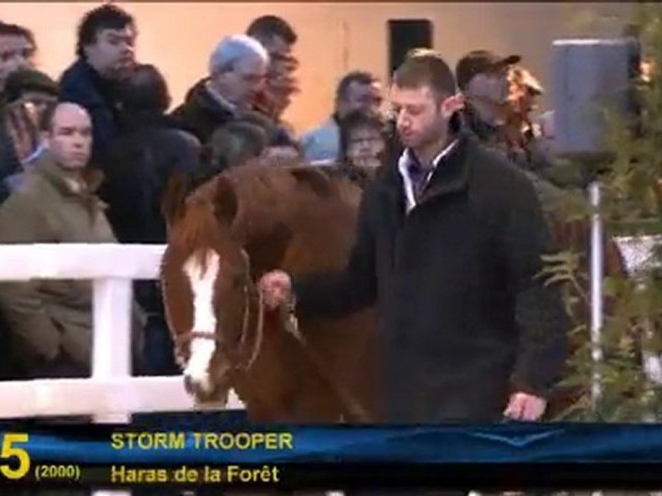 N°5 - Storm Trooper