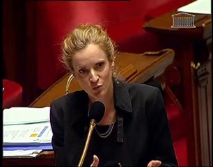 Nathalie Kosciusko-Morizet et le photovoltaïque à l'AN