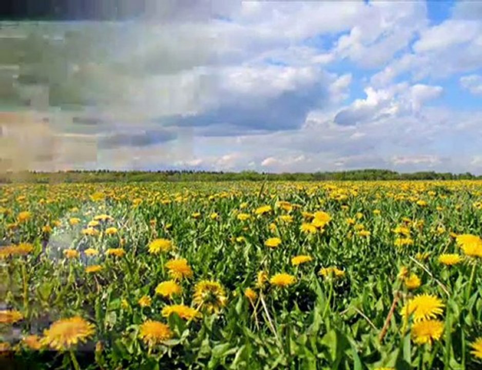 Наташа  Морозова - Улетай на крыльях ветра