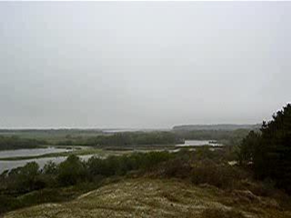 le parc du marquenterre