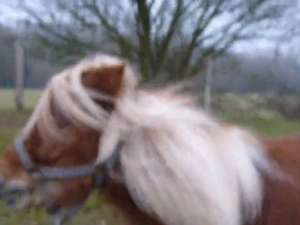 5 janvier 2011 139