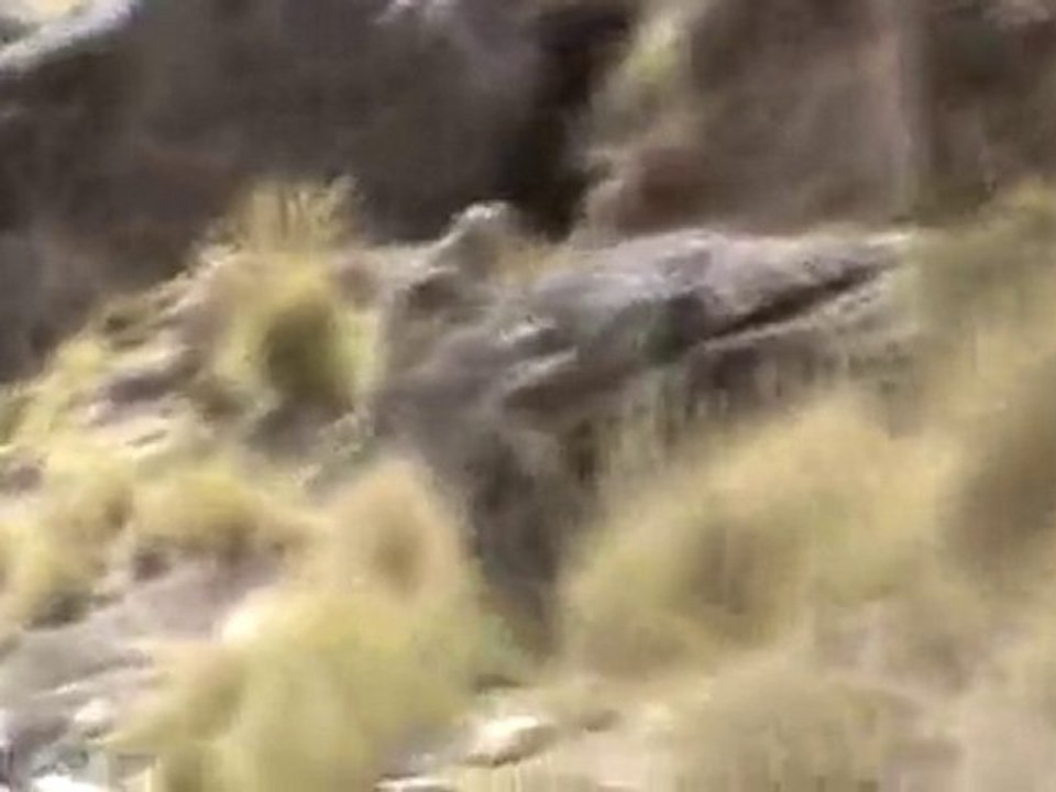 20100830223448