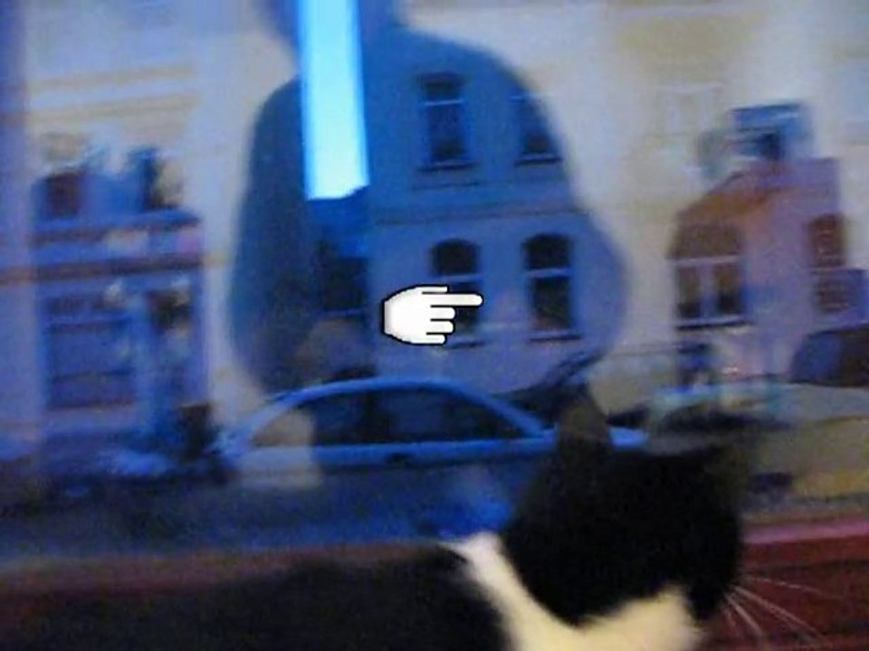 Mpg.katze.drossel