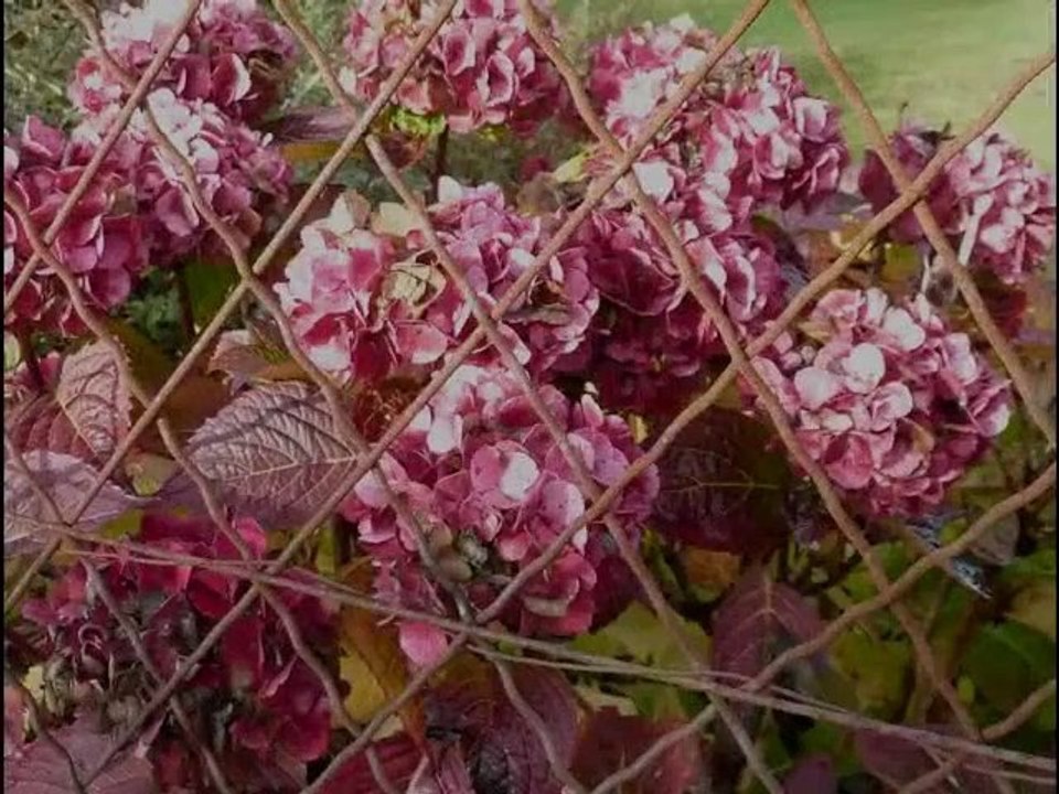 Saint-Barthélemy-de-Bussière en toutes saisons !