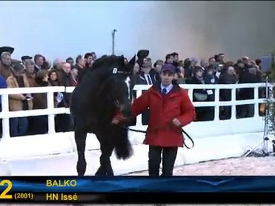 N°22 - Balko