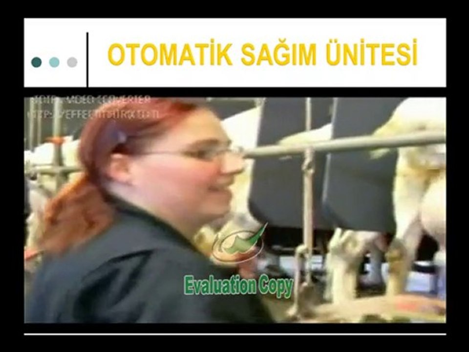 KALİTELİ SÜT ÜRETİMİ VE SAGIM SİSTEMLER