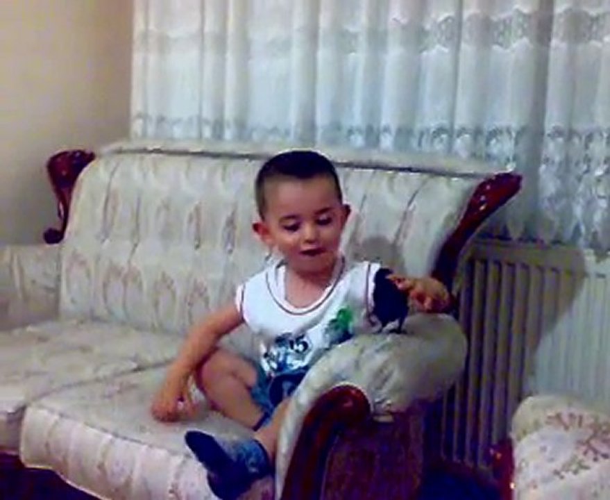 hayvansevgisi