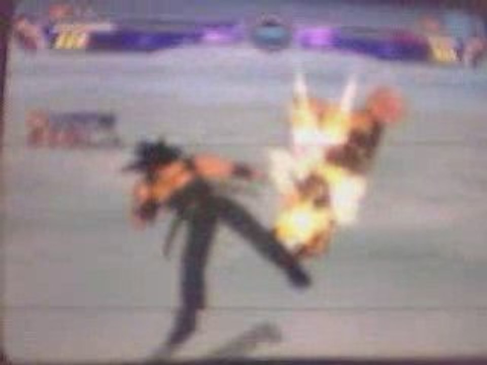 Budokai 3-1