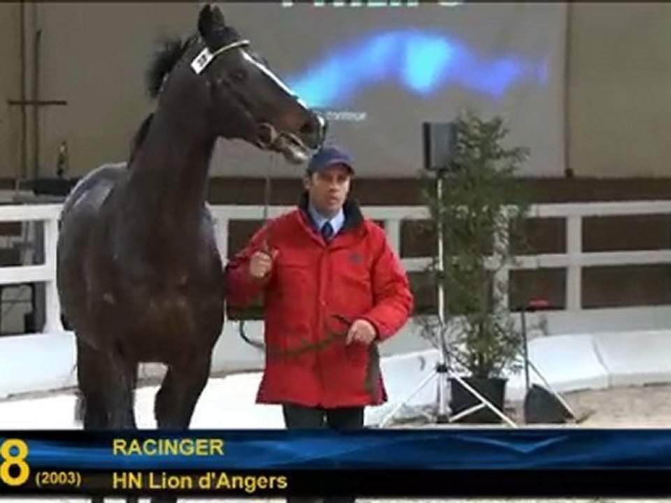 N°38 - Racinger