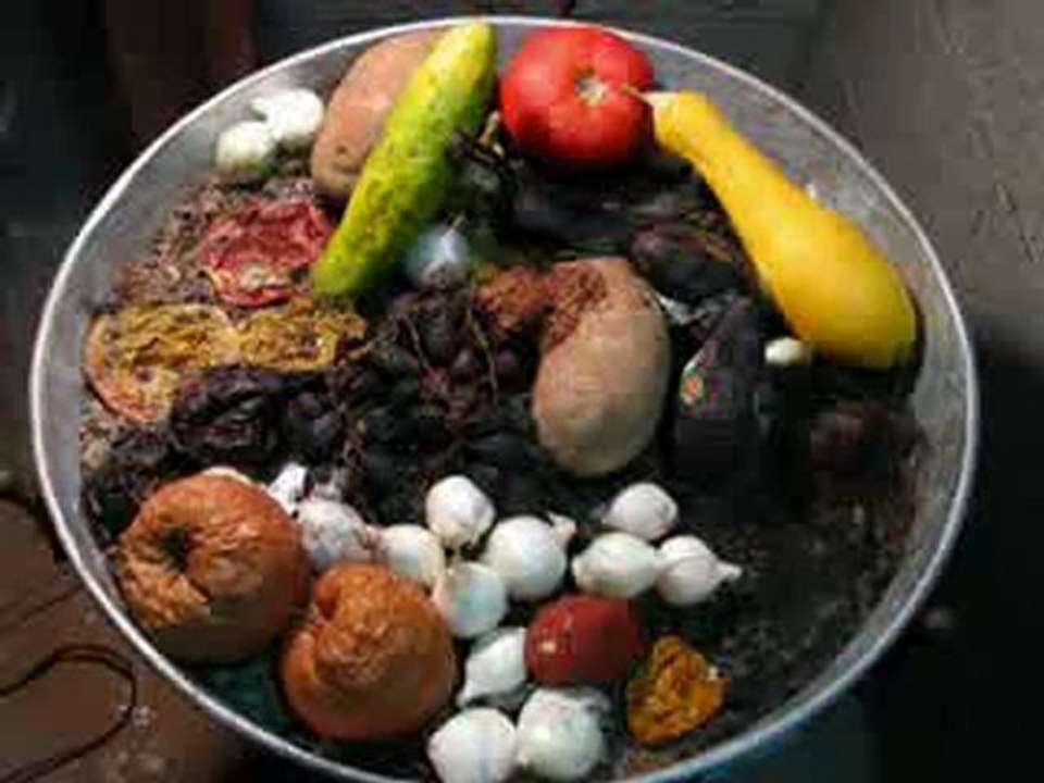 Meyve ve sebzelerin çürüme görüntüleri