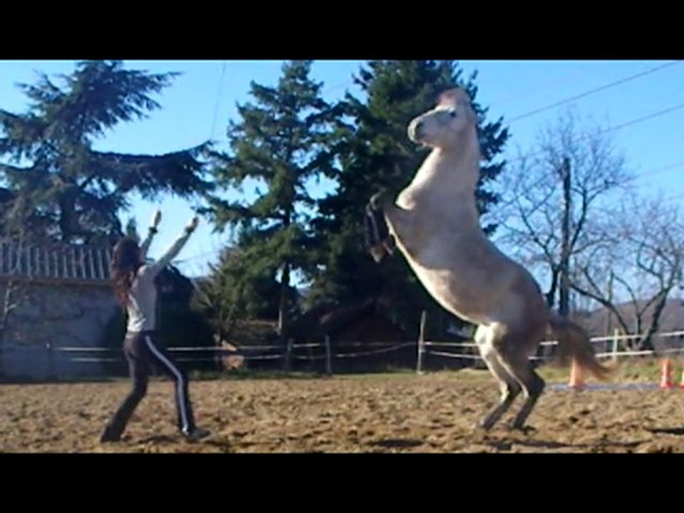 Quaracol liberté 15.01.2011