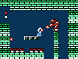 NES Super Mario Bros 2 "princess" in 08:43 by laughing_gas