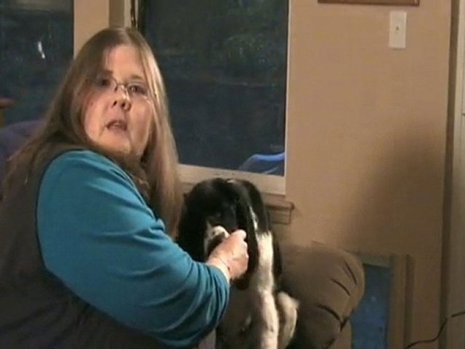 A Law Of Attraction Dog Life Coach On Manifesting