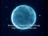 Mooseka - Severing The Wings