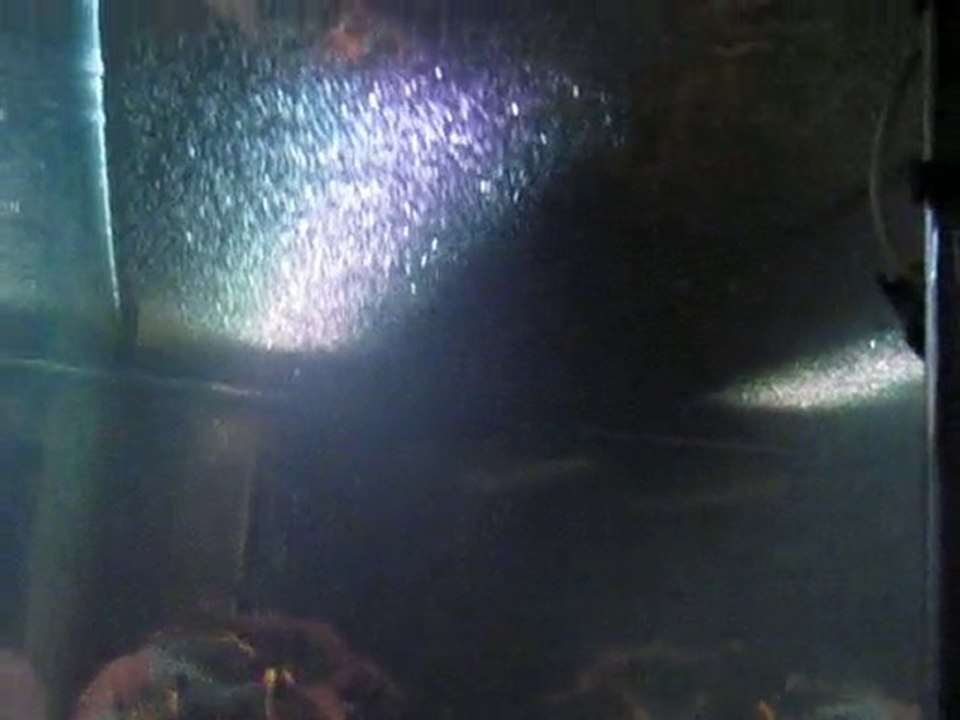 Green Terror Tank