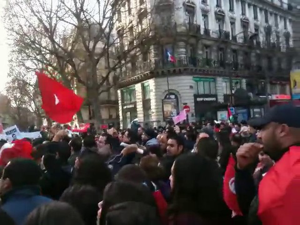 Manifestation du 15-01-2011 à Paris (3)