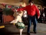chien danseur de Salsa!!!!