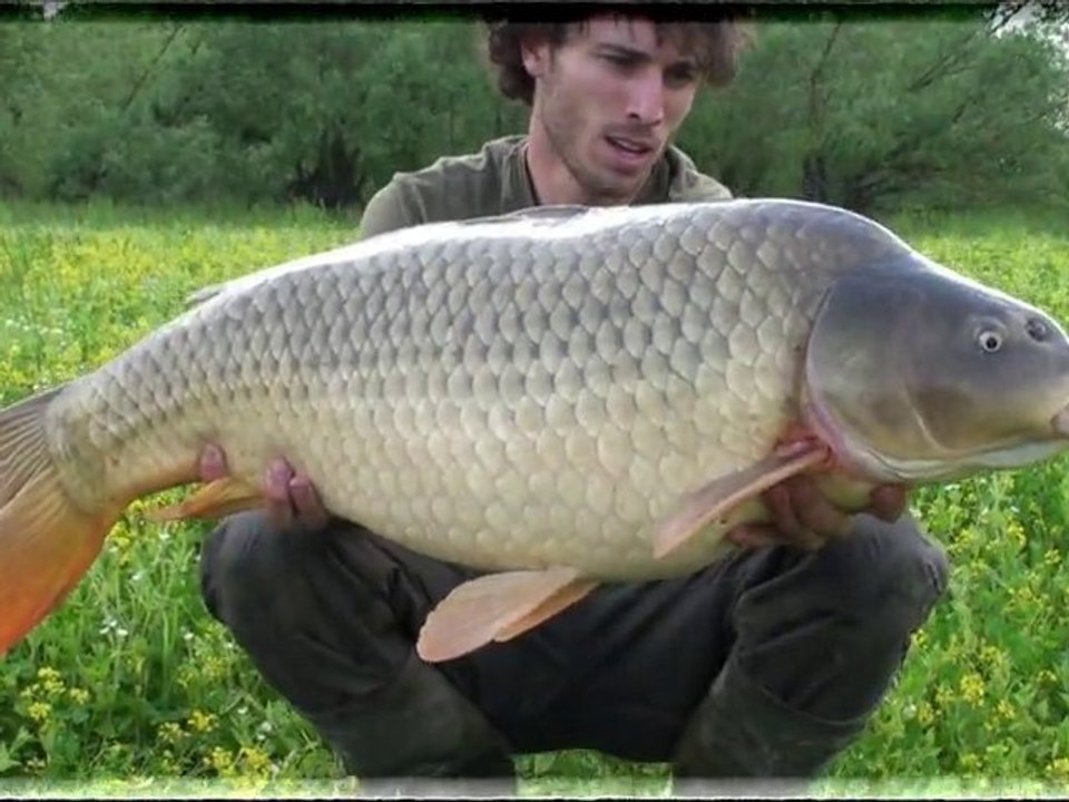 Hot Zone carp fishing 2010