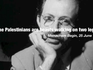 Shameless and Deluded in Palestine