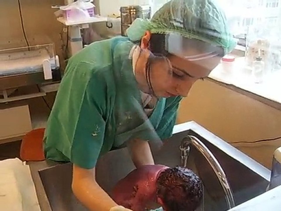İzzet haktan ilk banyo :)