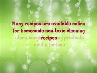 How To Green Cleaning Review of "The Green Clean Book"