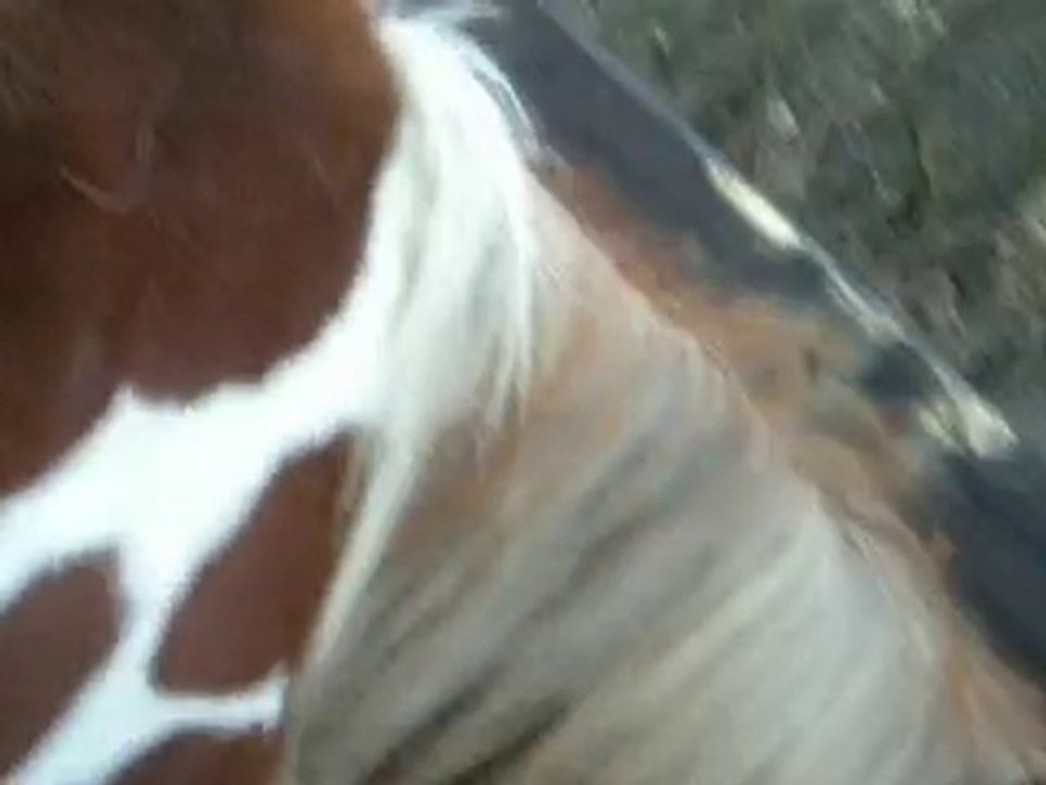 5.01.10 260 video
