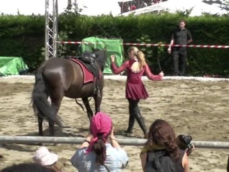 Clip de présentation 2011