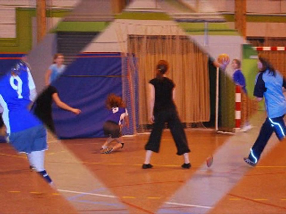 handball 52 janvier 2011
