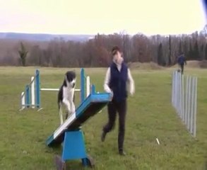démo agility snoopy malhoreau vidéo 11