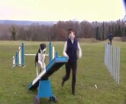 démo agility snoopy malhoreau vidéo 11