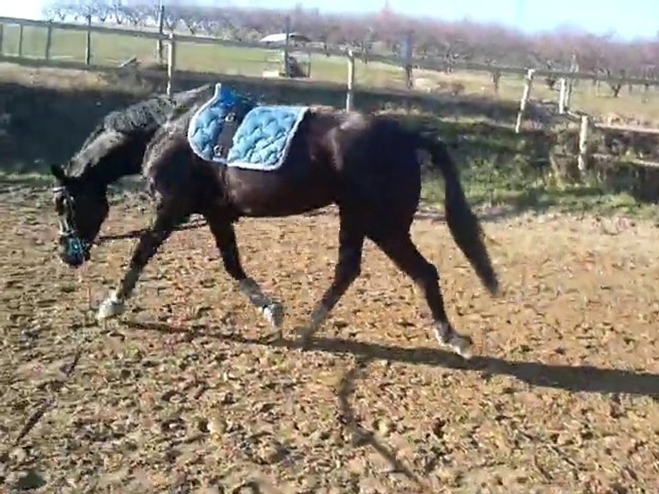 Rico longe du 16/01/2011