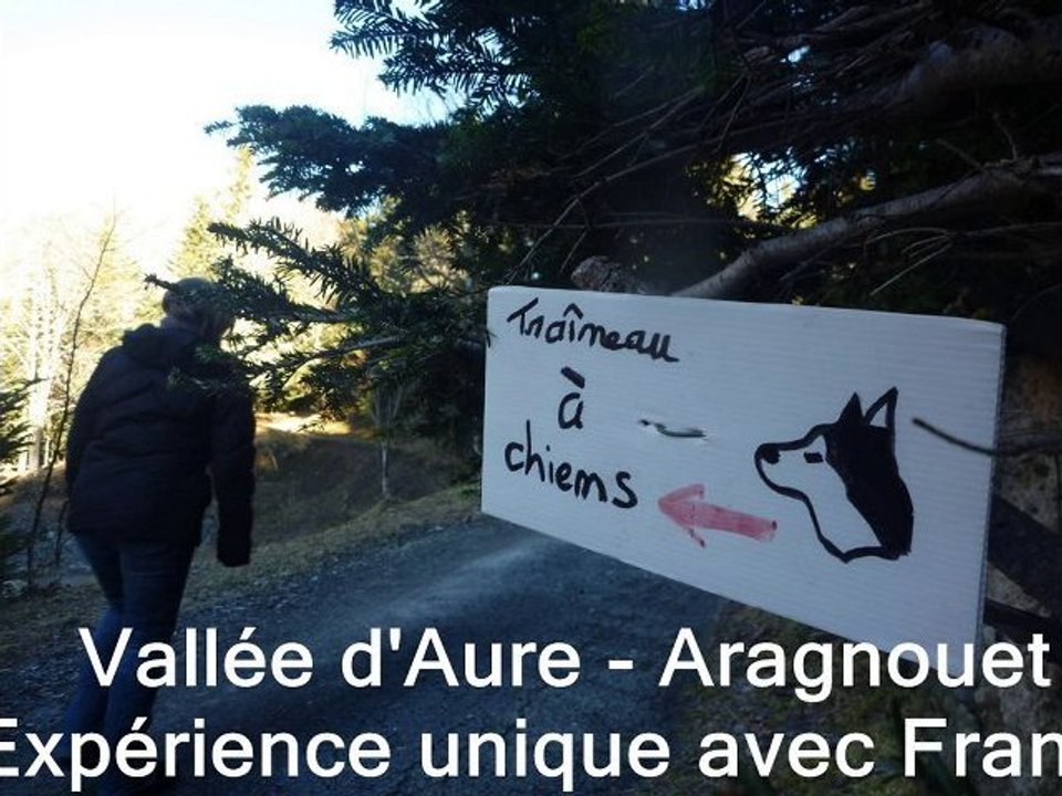 TRAINEAU A CHIENS - VALLEE D'AURE - Janvier 2011