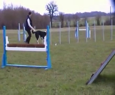 démo agility snoopy malhoreau vidéo 11