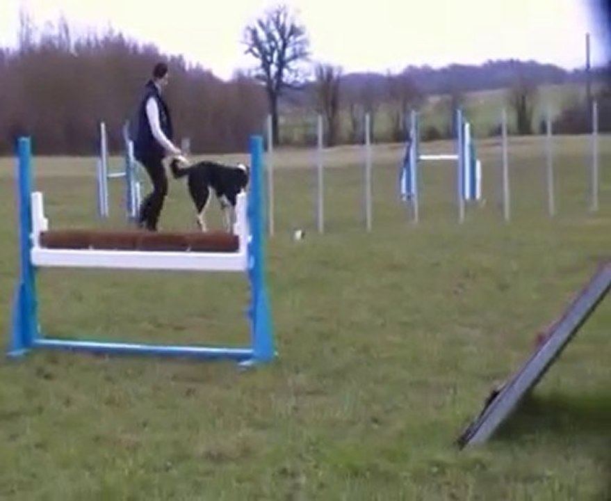 démo agility snoopy malhoreau vidéo 11