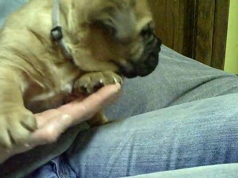 BB de LExigence (Jackpot) 32 jours