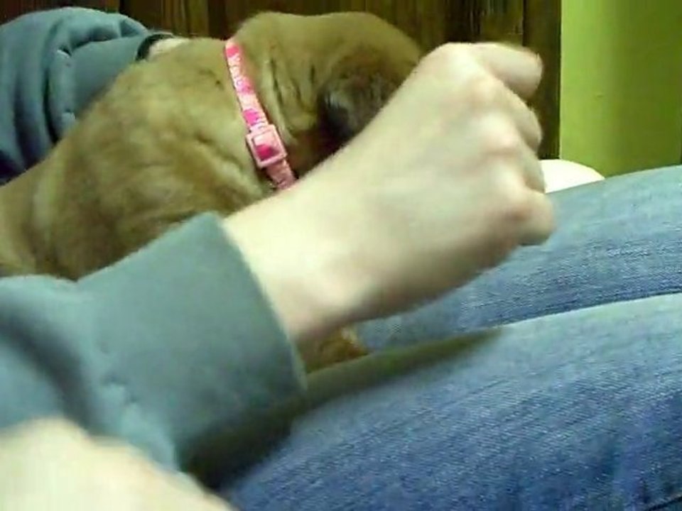 BB de L'Exigence (JTM)  a 32 jours