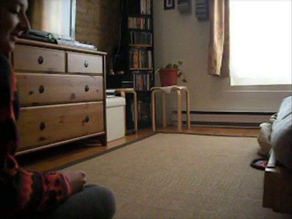 2011-01-16-Pointe