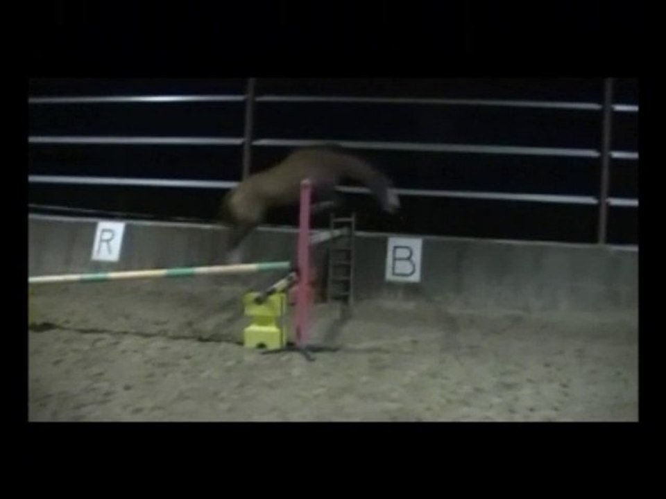 Qalif Saut en liberté